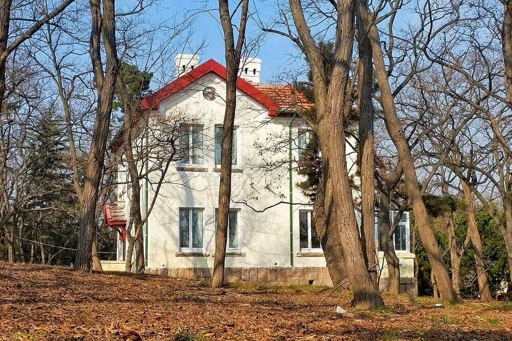 칭다오 팔대관의 유럽식 별장과 가로수길